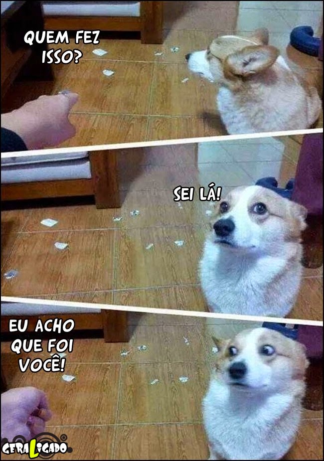 A cara entrega o culpado!