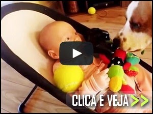  roubar bebe cachorro se arrepende