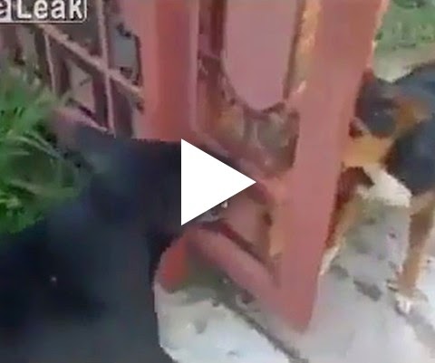 Se não tivesse o portão se ia ver