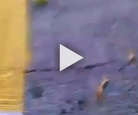 Sabe a zuera do buzão? Nem sempre dá certo!