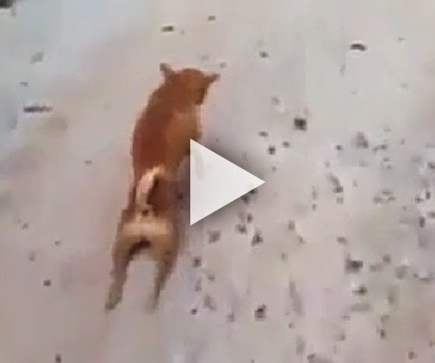 Caba safado enganando o povo!
