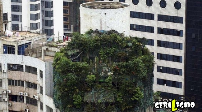Casas que nunca pensamos que existissem5