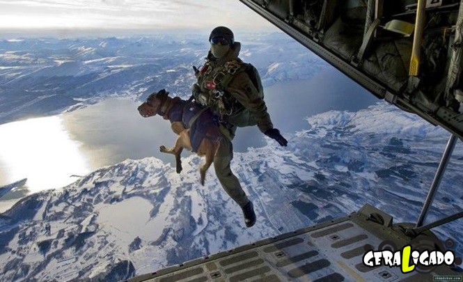 40 Fotos militares tiradas no momento certo29
