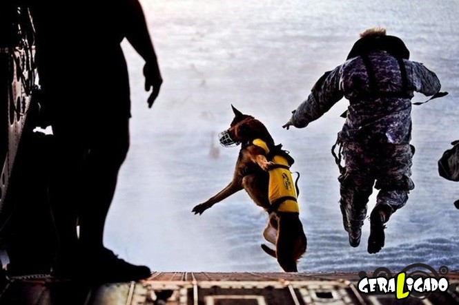 40 Fotos militares tiradas no momento certo30