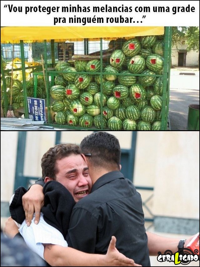 4 Não funcionou muito bem proteger as melancias