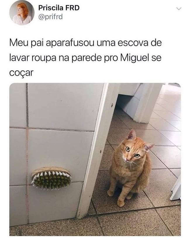 Por mais pessoas assim no mundoo