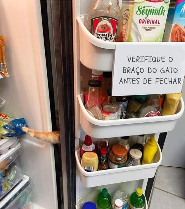 Verifique o braço da gata…