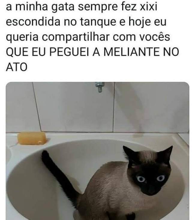 Peguei ela no ato