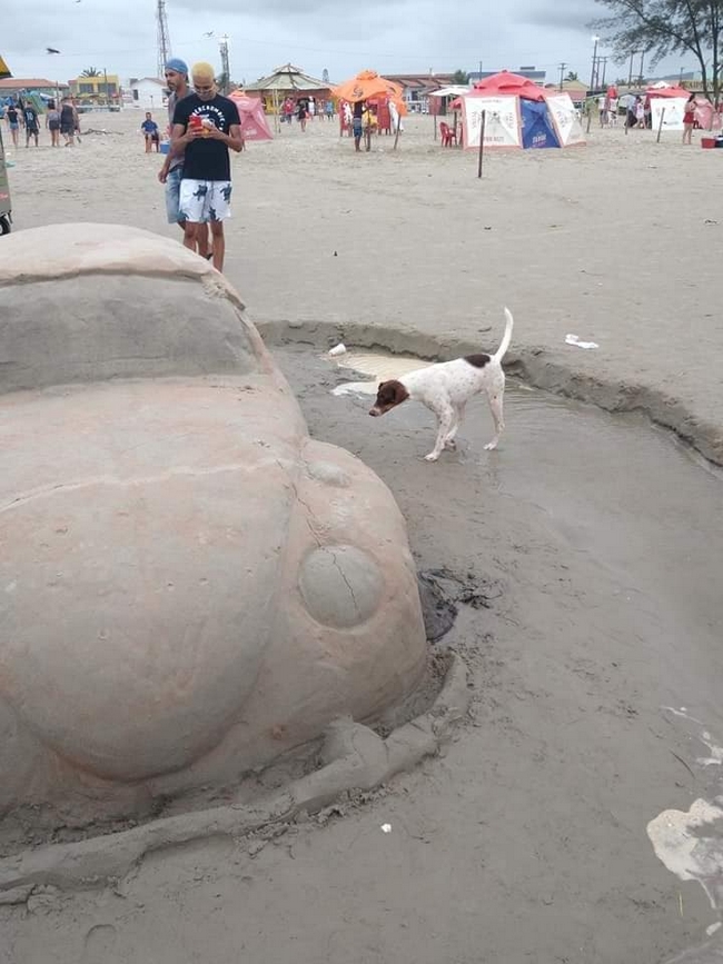 Escultura de areia na ilha comprida, O cachorro não perdeu tempo!