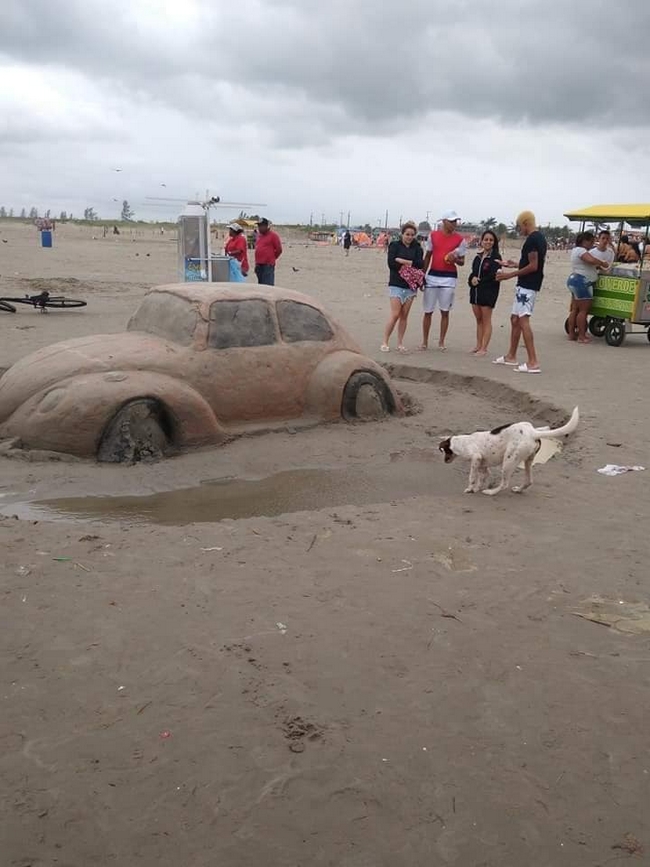 Escultura de areia na ilha comprida, O cachorro não perdeu tempo!2