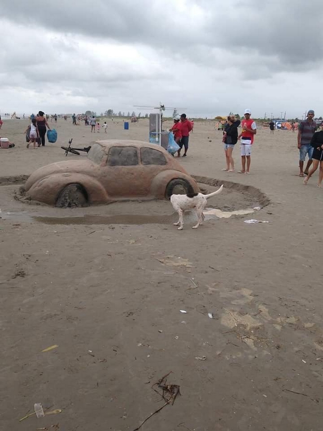 Escultura de areia na ilha comprida, O cachorro não perdeu tempo!3