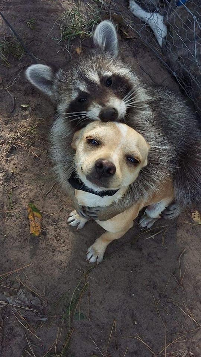 Essas amisades são tudo pra mim2