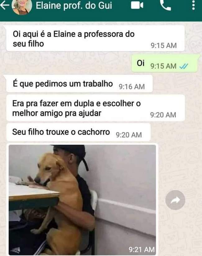 Melhor amigo sem duvidas