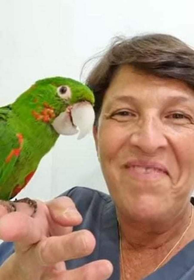 Existem pessoas que nasceram para consertar almas destruídas 12