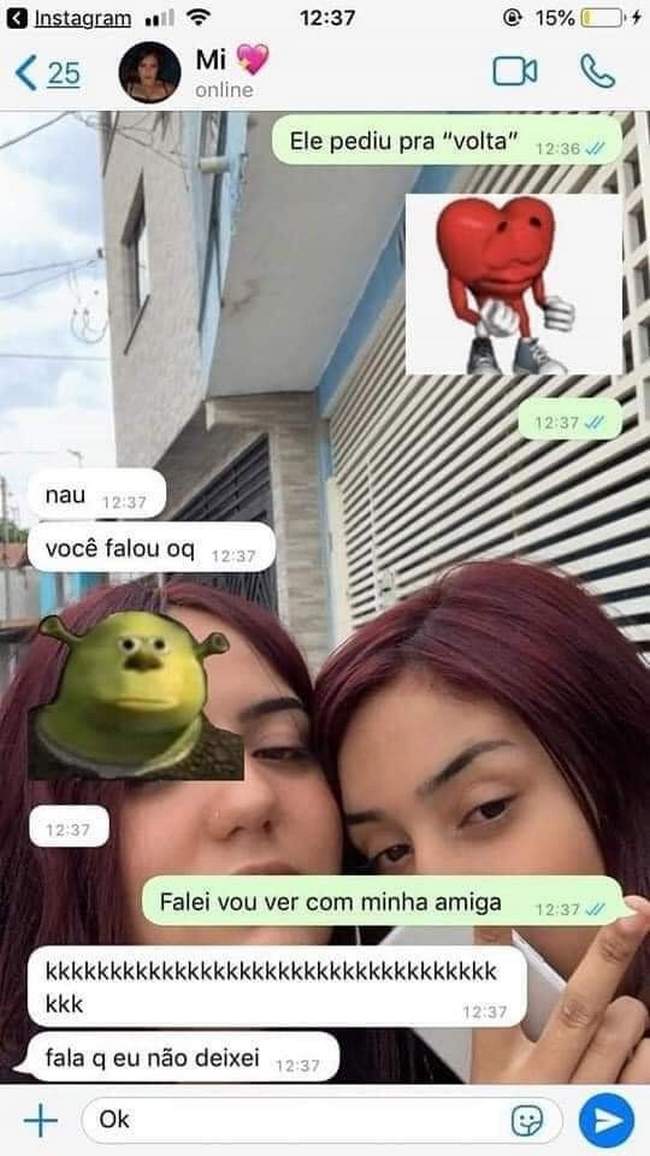 Amigas é pra essas coisas