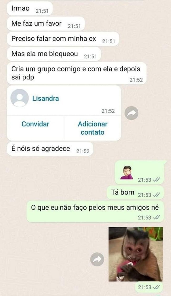 O que eu não faço pelos amigos