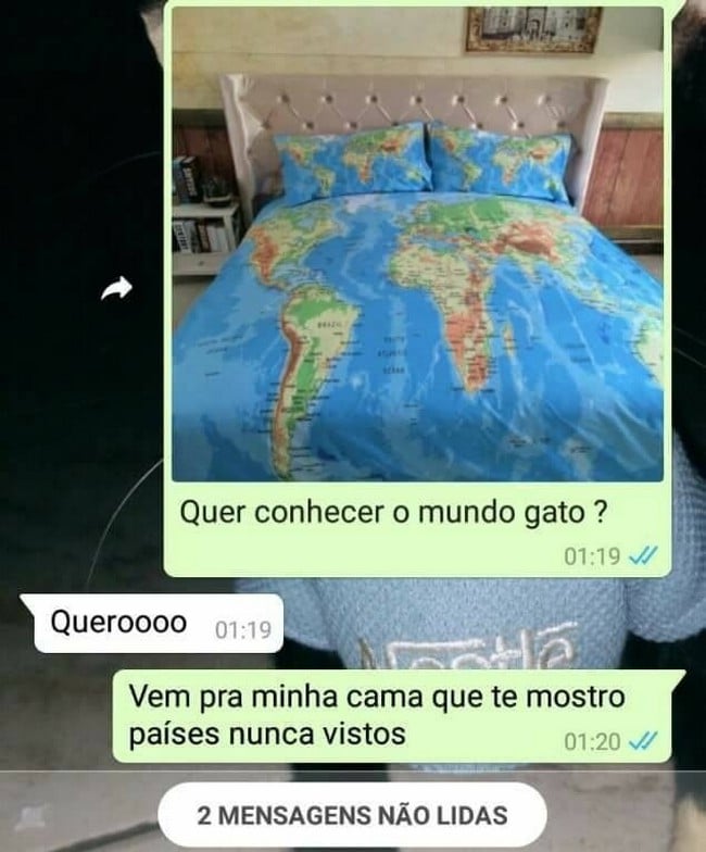 Venha conhecer o mundo Gato