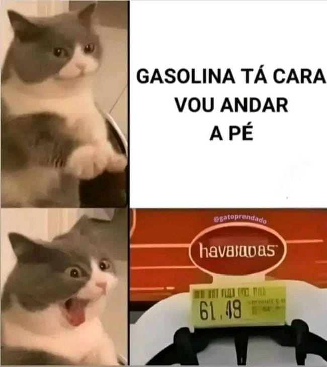 A vida ta sofrida demais