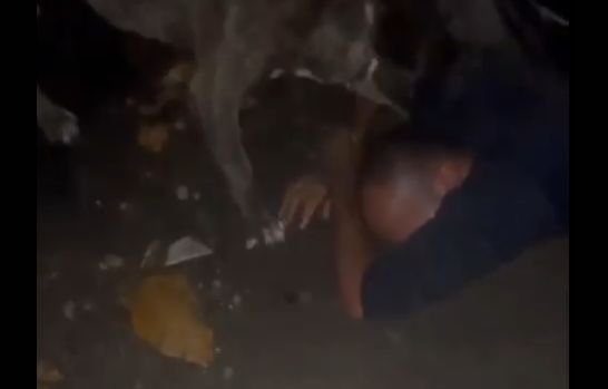Cachorro Ataca Ladrão que Invadiu Oficina