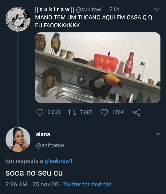 tucano no cu – memes