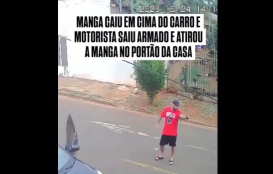 foi-armado-no-vizinho-por-causa-de-manga